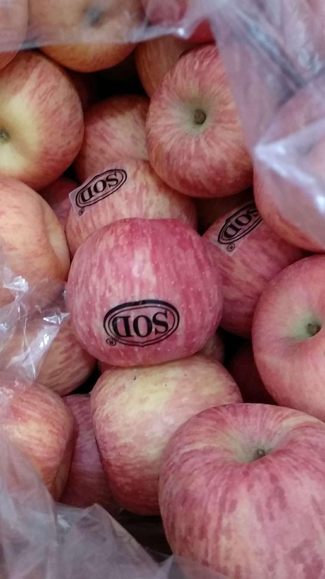 富硒生态苹果灵宝苹果看寺河富硒苹果在高山源自海拔自然口感灵宝苹果