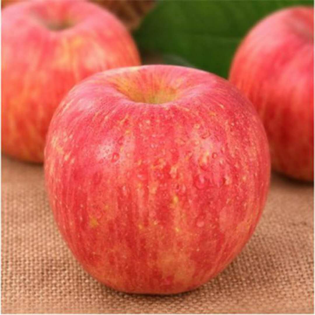 嘎啦果嘎啦苹果新鲜采摘现摘现发一件代发水果5斤10斤装