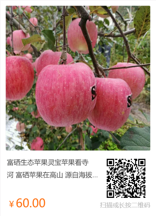 富硒生态苹果灵宝苹果看寺河富硒苹果在高山源自海拔自然口感灵宝苹果